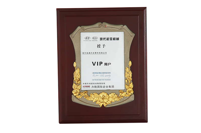 現代起亞機械授予茲VIP用戶